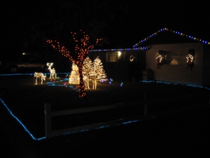 Reindeer, snowman, and christmas tree.  None of those things could actually live in Phoenix.