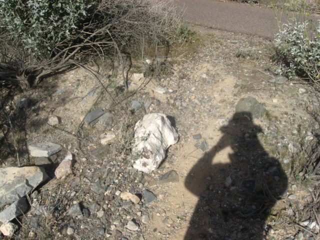 Big chunk of quartz on the ground. I am continuing yesterday's quest for striped stones, but I don't expect to find any on this trip. The rocks in this park are mostly quartz, shale, flint, and andesite--mostly igneous, some metamorphic amalgamations, unlikely to have stripes.  My shadow on the ground is as close to a picture of me as you will get in this blog. You can see I'm wearing the Trollgod's hat.